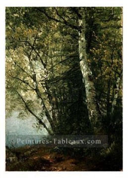  het Peintre - Étude de Beeches luminisme paysage John Frederick Kensett